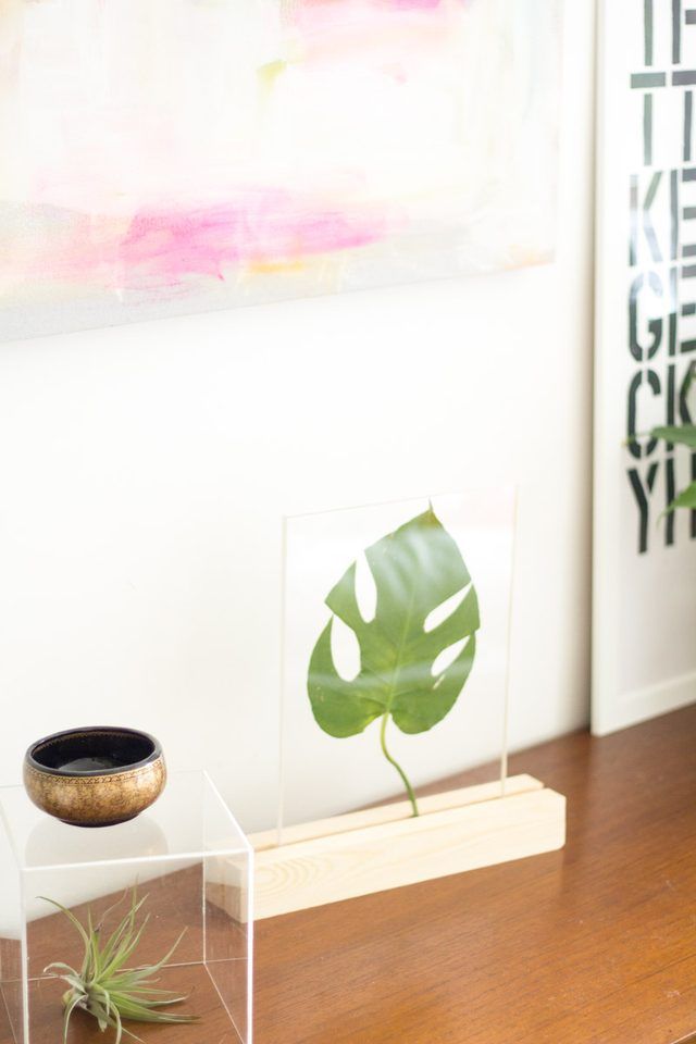 Easy DIY Framed Leaf Home Accessory Using Plexiglass sheet