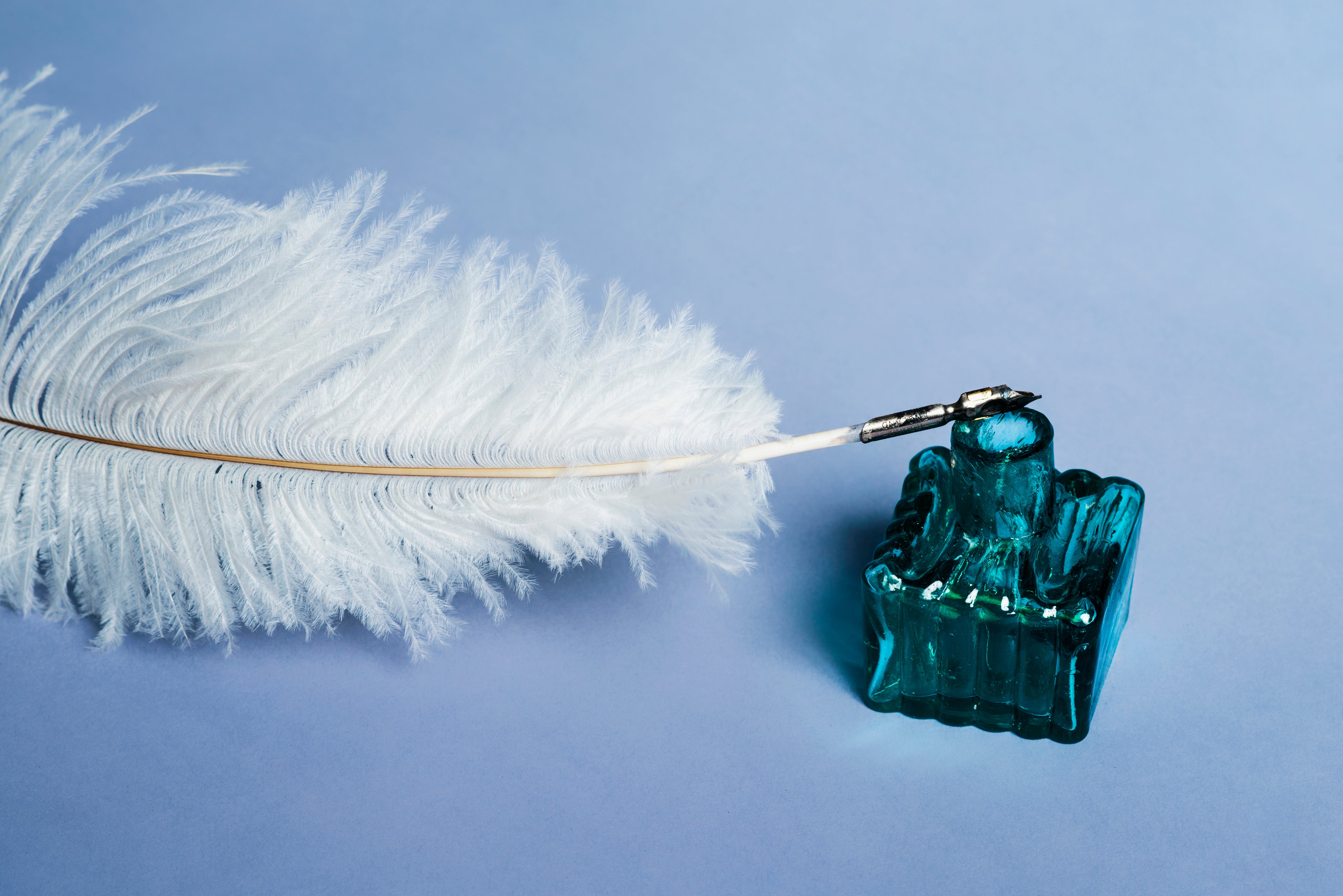 White feather quill on an ink bottle